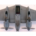 obrazek fotogalerie 1 z13