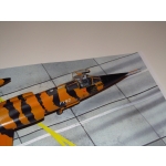 obrazek fotogalerie 1 z110