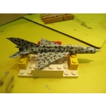 obrazek fotogalerie 3 z57