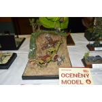 obrazek fotogalerie 1 z60