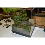 obrazek fotogalerie 2 z60