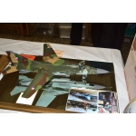 obrazek fotogalerie 4 z60