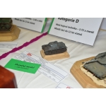 obrazek fotogalerie 2 z60